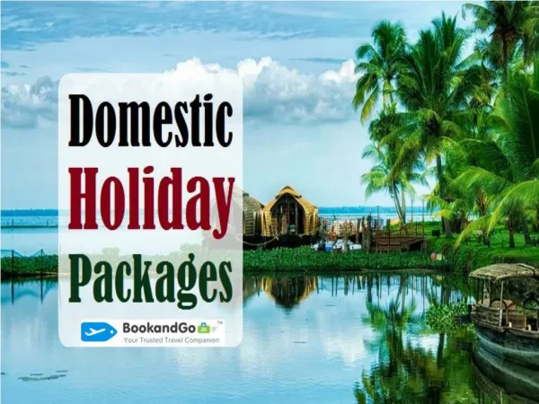 Best Domestic Holiday Packages | BookandGo