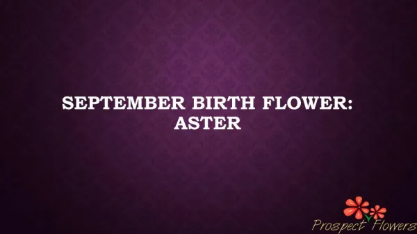 September birth flower: Aster