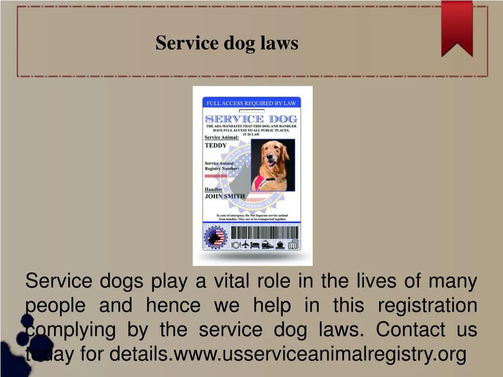 service dog laws