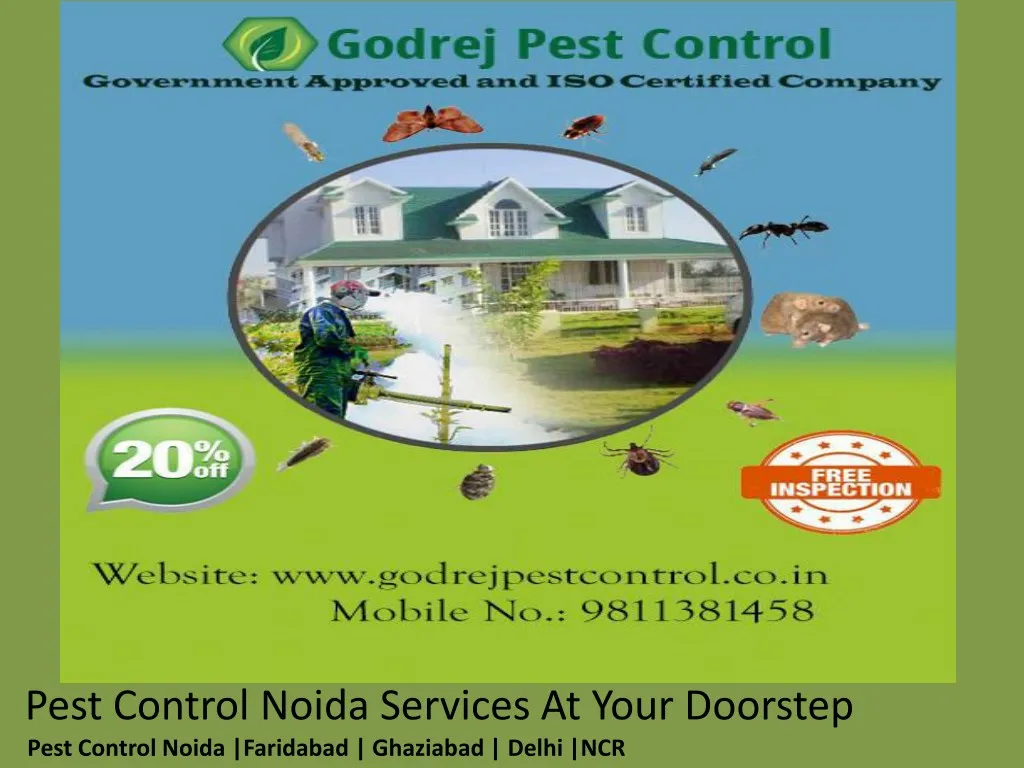 pest control noida services at your doorstep pest