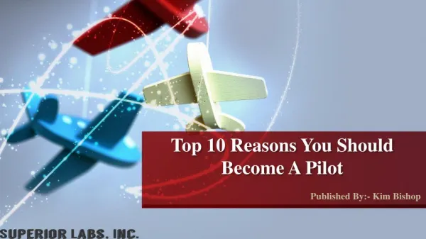 TOP 10 REASONS YOU SHOULD BECOME A PILOT