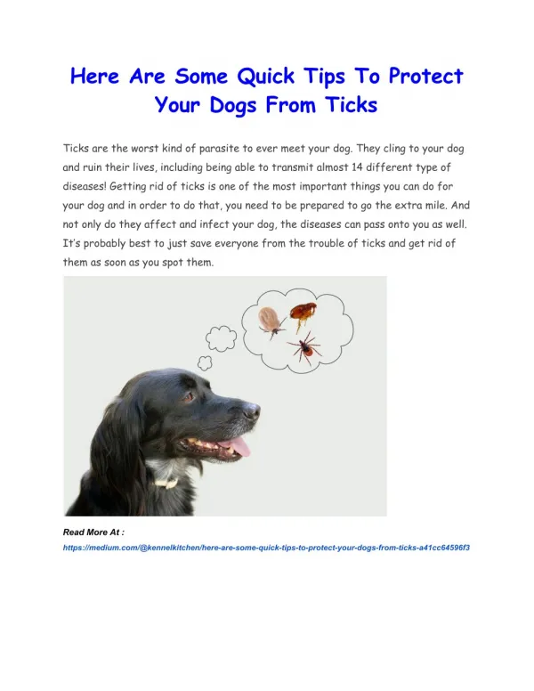 Here Are Some Quick Tips To Protect Your Dogs From Ticks