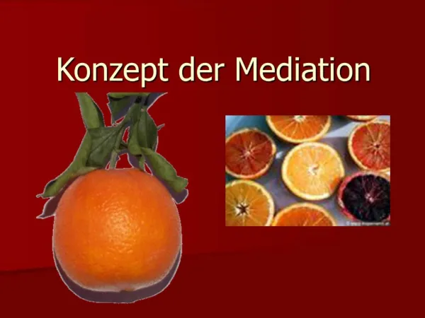 Konzept der Mediation