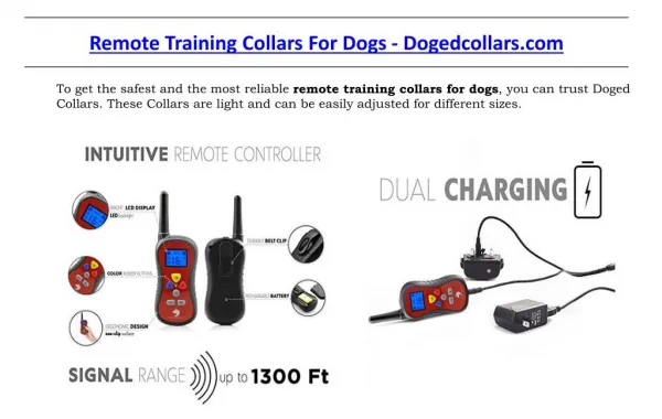 Remote Training Collars For Dogs - Dogedcollars.com
