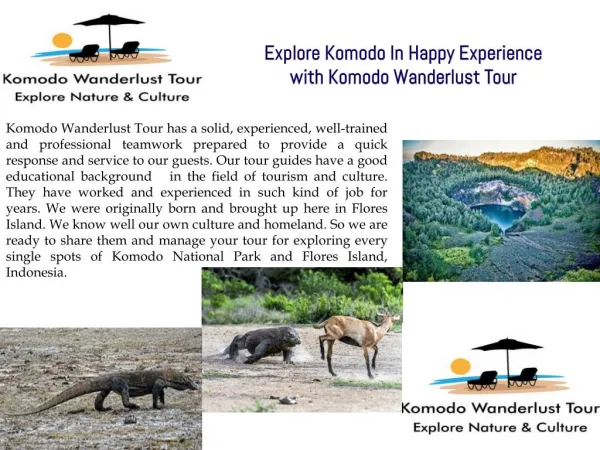 Explore Komodo In Happy Experience with Komodo Wanderlust Tour