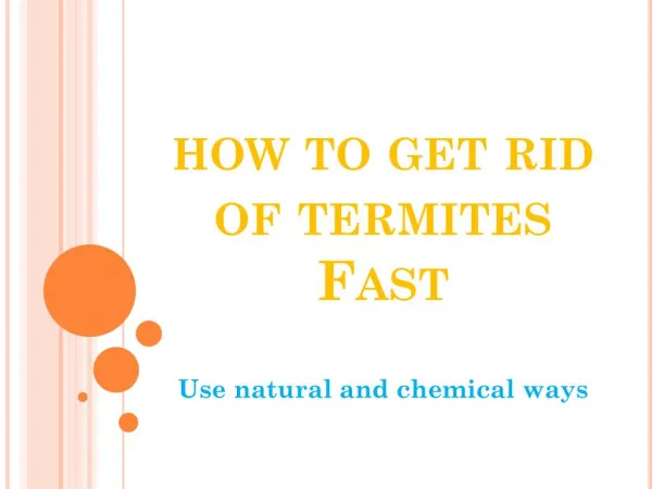 How to get rid of termites quickly