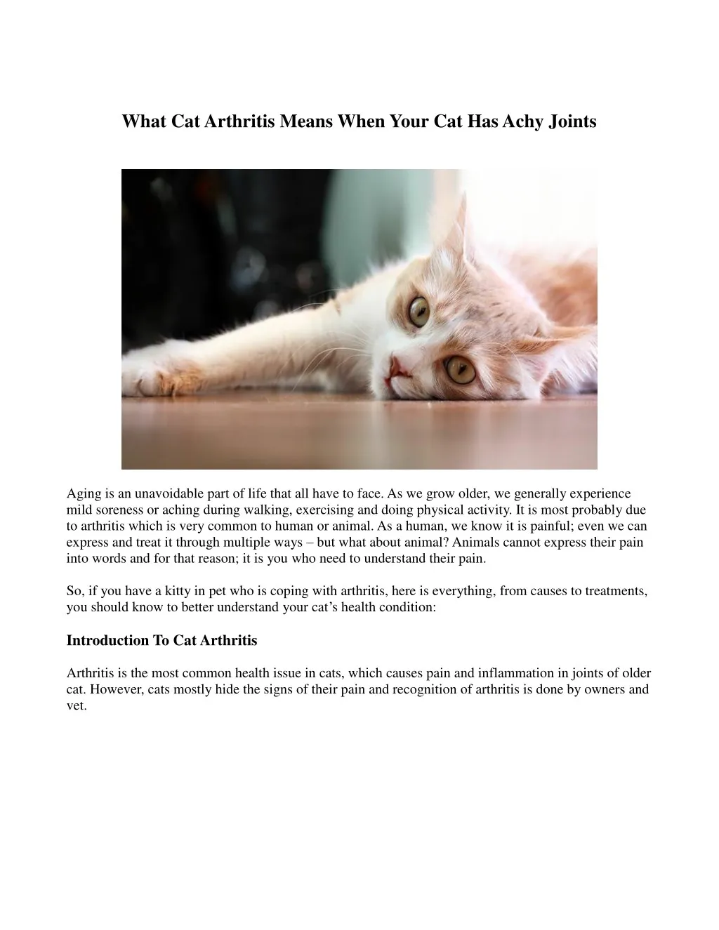 what cat arthritis means when your cat has achy
