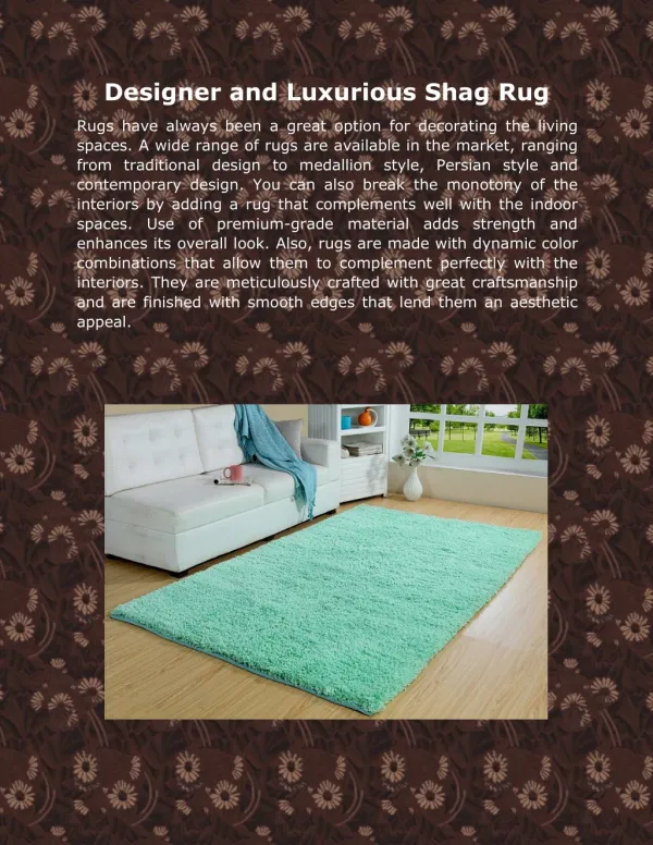 Traditional Area Rug