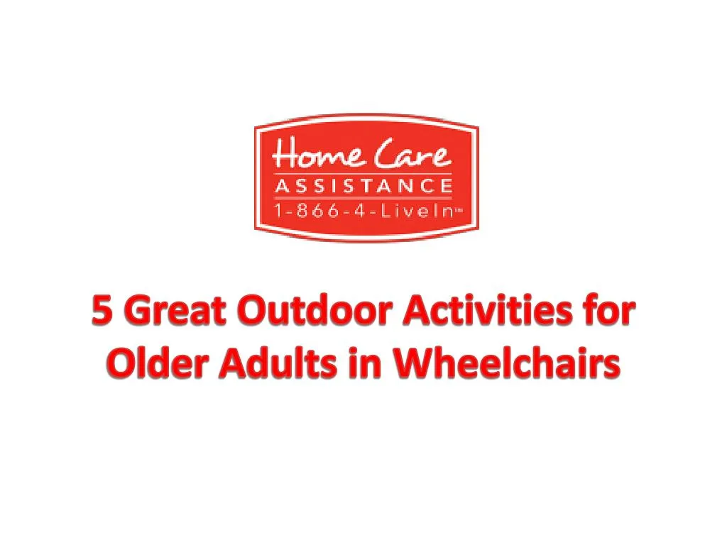 5 great outdoor activities for older adults in wheelchairs