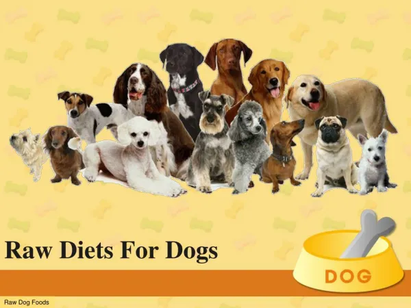 Raw Diets for Dogs