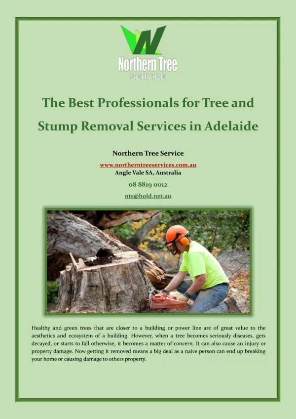 The Best Professionals for Tree and Stump Removal Services in Adelaide
