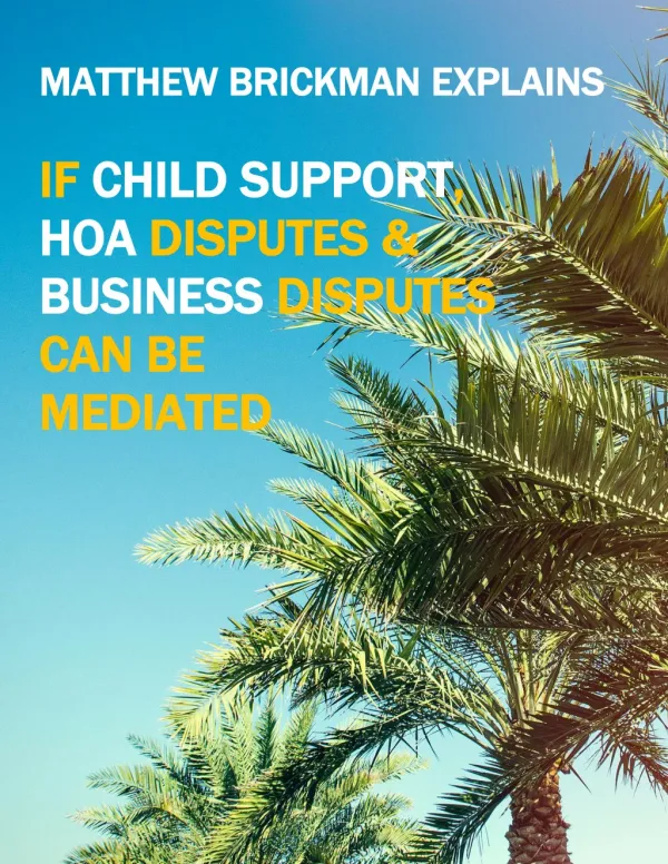 Matthew Brickman Explains If Child Support, HOA and Business Disputes Can Be Mediated
