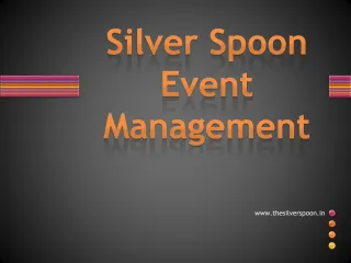 Silver spoon catering - slide 1