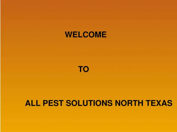 The Basics of Natural Bed Bug Pest Control