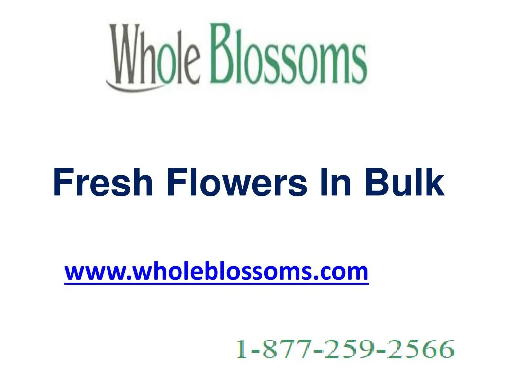 fresh flowers in bulk