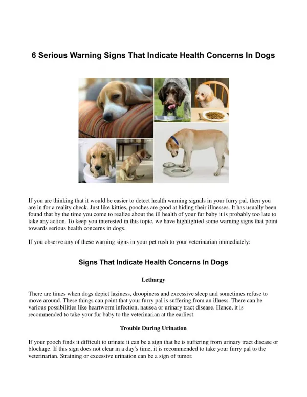 Signs That Indicate Health Concerns In Dogs