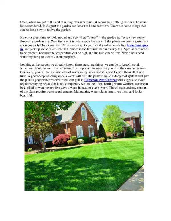 Cloudy summer lawn care tips