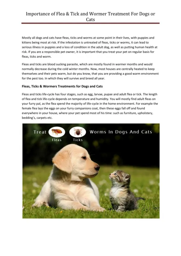 Importance of Flea & Tick and Wormer Treatment for Dogs or Cats