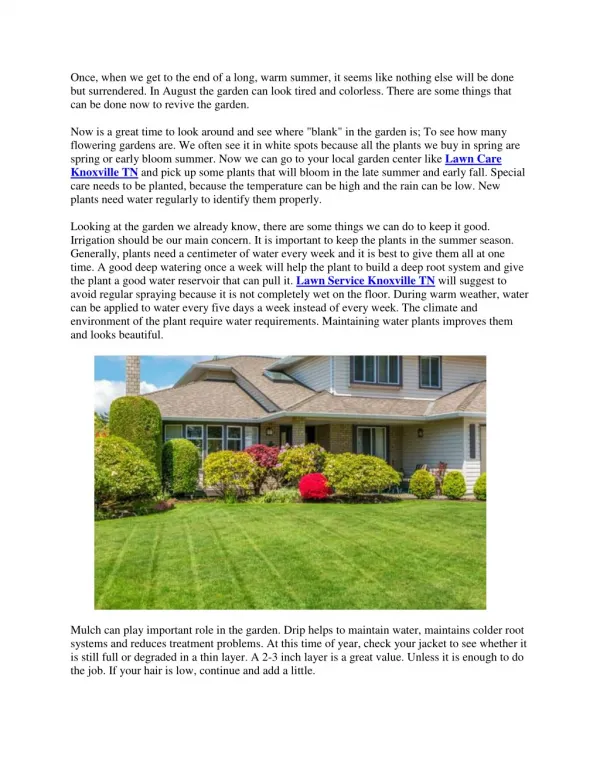 Late warm summer lawn care tips