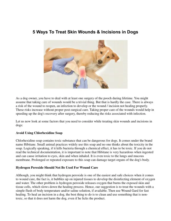 5 Ways To Treat Skin Wounds & Incisions in Dogs