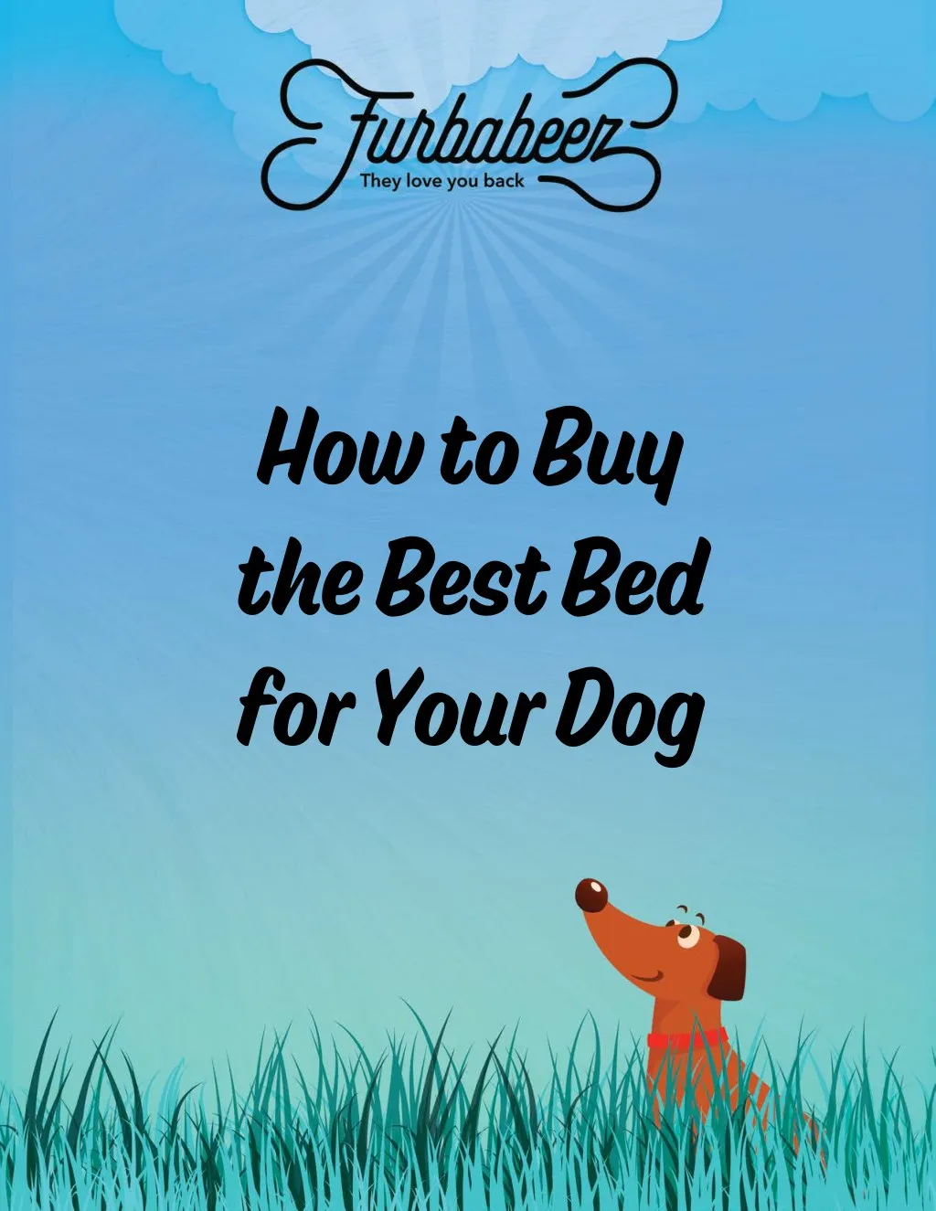 how to buy the best bed for your dog
