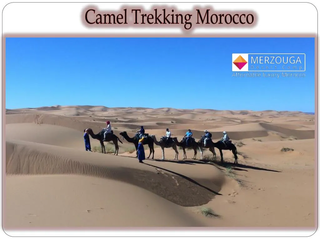 camel trekking morocco