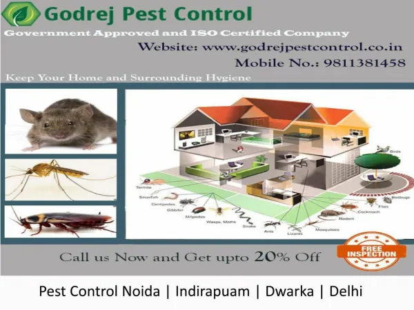 Pest Control Noida | Indirapuam | Dwarka | Delhi