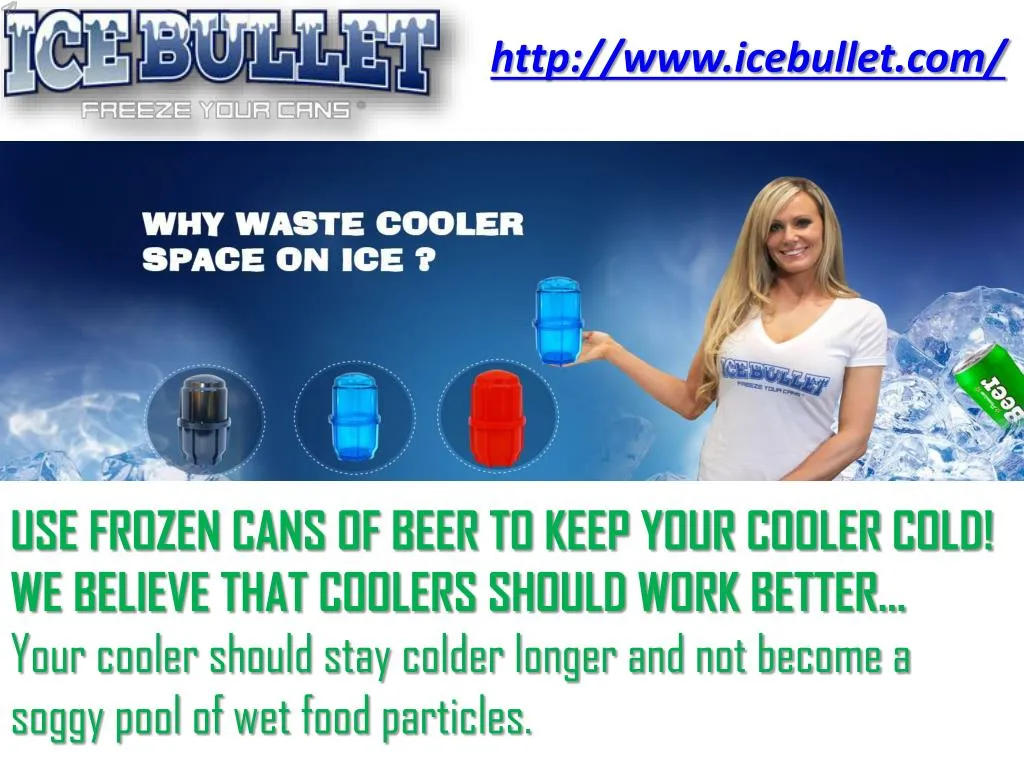 http www icebullet com