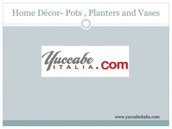 Home Décor- Pots , Planters and Vases