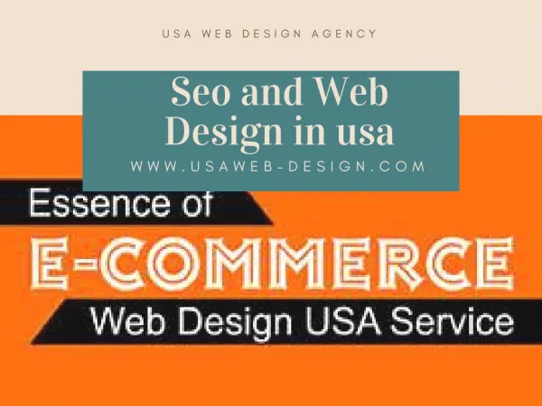 Seo and Web Design in usa