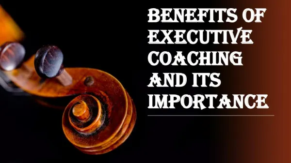 Plenty of Reasons Why You Should be get Executive Coaching