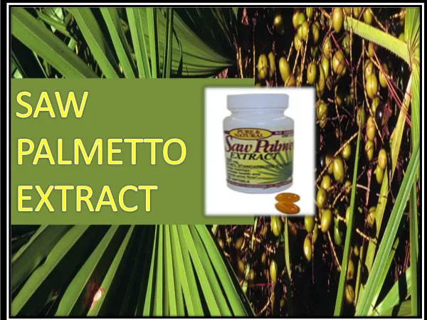 Saw Palmetto Effects on Prostate health