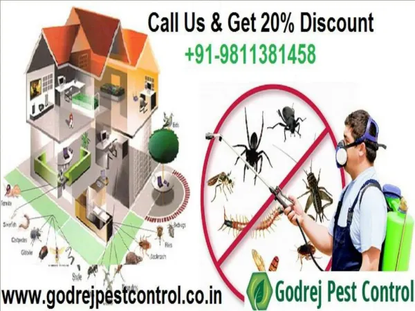 Free Inspection & Get 20% Discount For Pest Control Noida | Delhi NCR