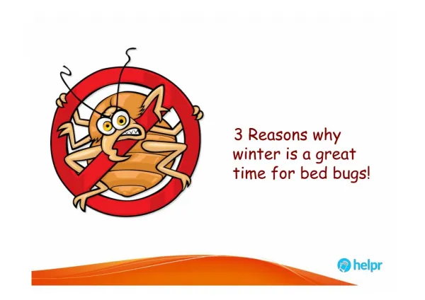 3 Reasons why winter is a great time for bed bugs!