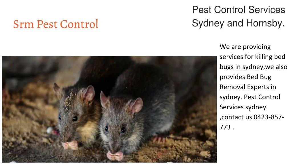 srm pest control