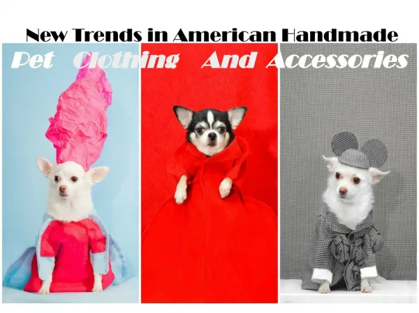 Top Trends in Handmade Pet Clothes & Accessories in America