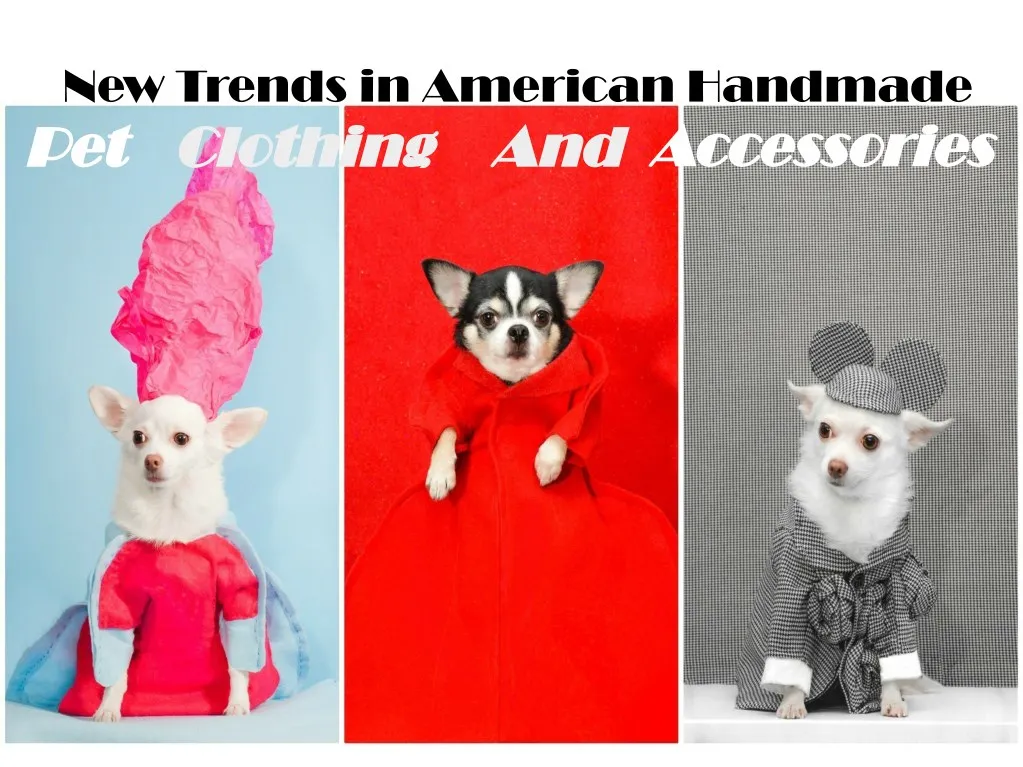 new trends in american handmade pet pet clothing