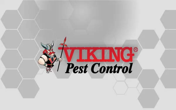 Bed Bug Treatment & Termite Control (844-780-9160)