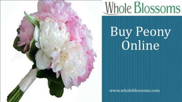 Buy Peony Online - www.wholeblossoms.com