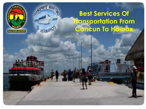 Best Services Of Transportation From Cancun To Holbox