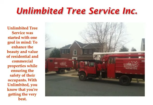 Annapolis Tree Removal Company