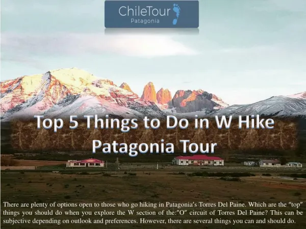 Top 5 Things to Do in W Hike Patagonia Tour