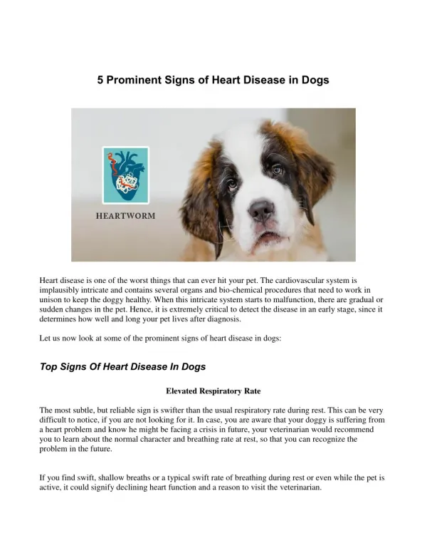 5 Prominent Signs of Heart Disease in Dogs