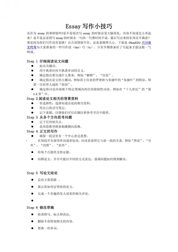 essay essay