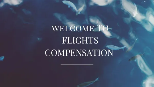 Flight Delay Information - Flights Compensation