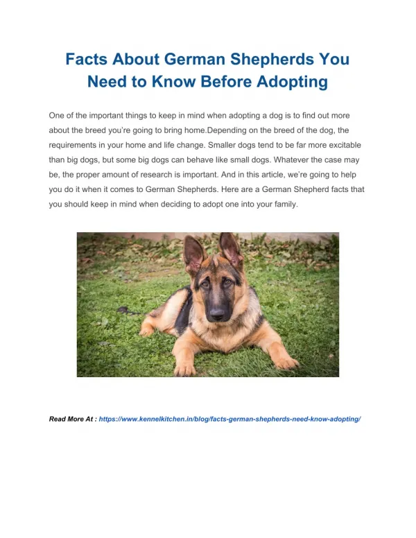 Facts About German Shepherds You Need to Know Before Adopting