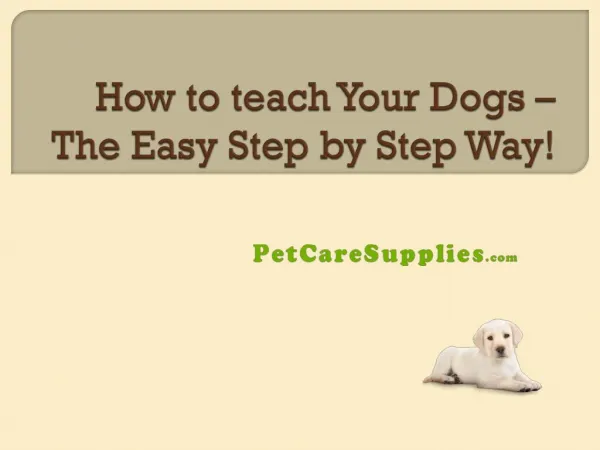 How to Teach Your Dog - The Easy Step by Step Way!