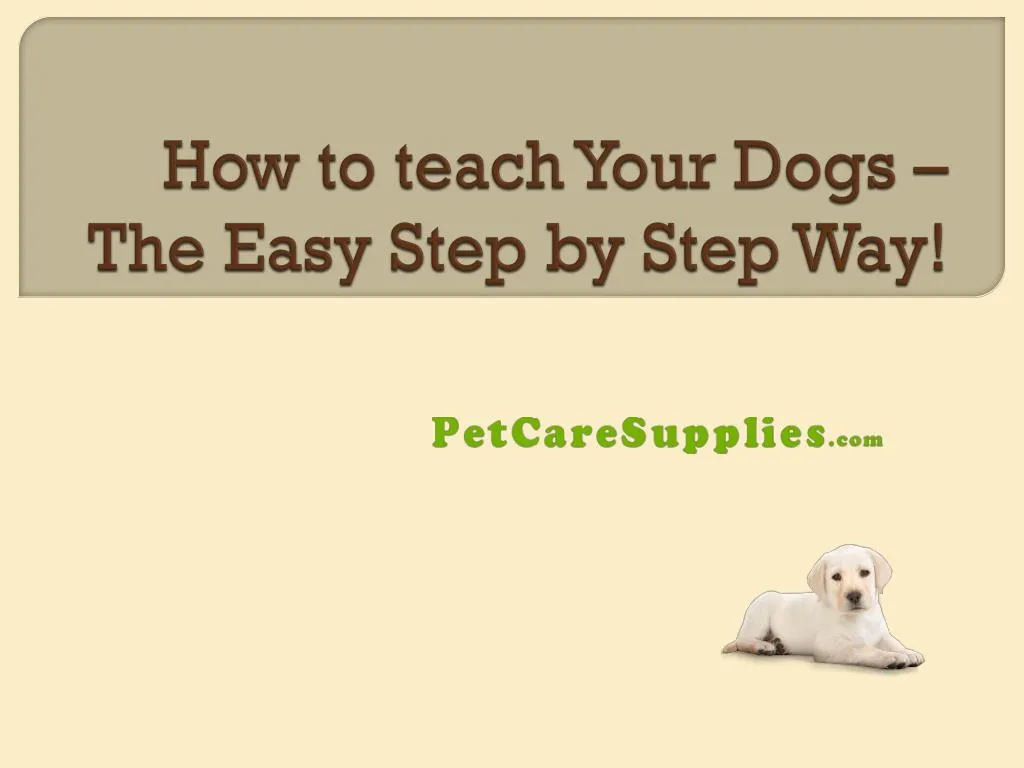 how to teach your dogs the easy step by step way