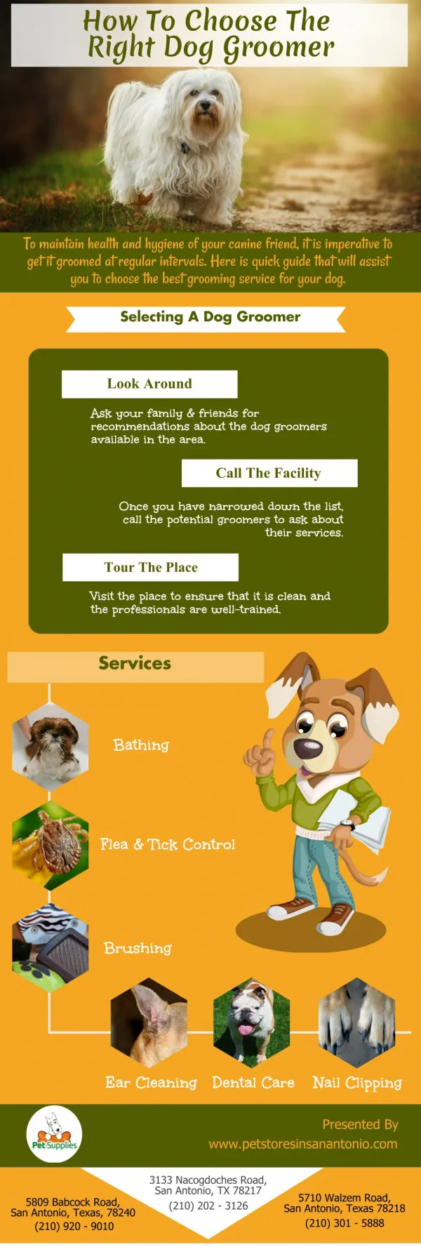 How To Choose The Right Dog Groomer