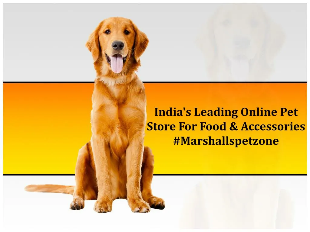 india s leading online pet store for food